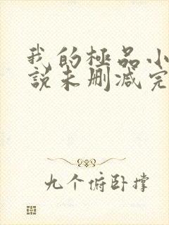 我的极品小姨小说未删减完整版