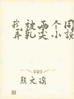 我被两个同桌玩弄乳尖小说封面