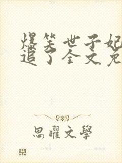 爆笑世子妃爷别追了全文免费阅读封面