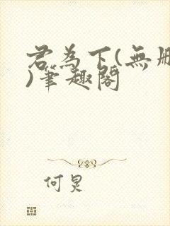 君为下(无删减)笔趣阁封面