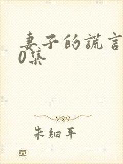 妻子的谎言第40集