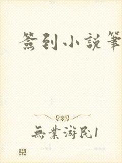 签到小说笔趣阁封面