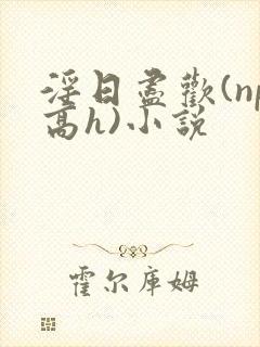 淫日尽欢(np高h)小说