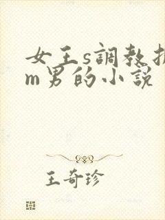 女王s调教折磨m男的小说封面