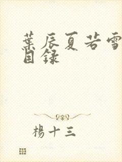 叶辰夏若雪孙怡目录封面