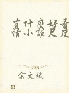 有什么好看的言情小说尺度大的封面