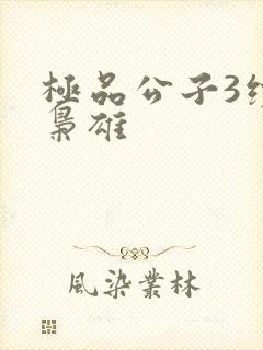 极品公子3续世枭雄