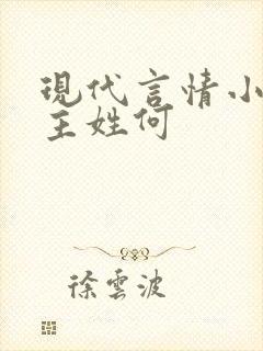 现代言情小说男主姓何封面