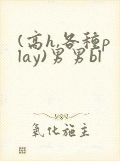 (高h,各种play)男男bl