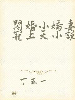 闪婚小娇妻大叔宠上天小说全文免费阅读