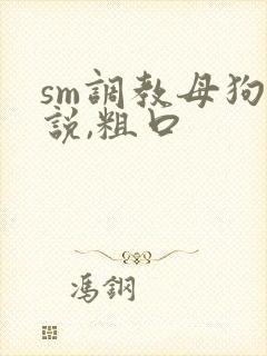 sm调教母狗小说,粗口封面