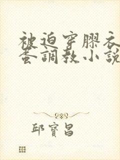 被迫穿胶衣戴跳蛋调教小说封面