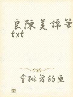 良陈美锦笔趣阁txt