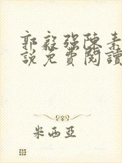 郭毅强陈素卿小说免费阅读笔趣阁