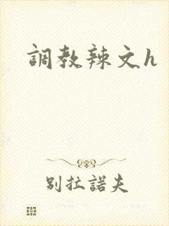 调教辣文h