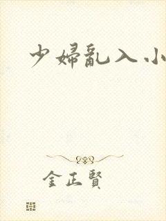 少妇乱入小说封面