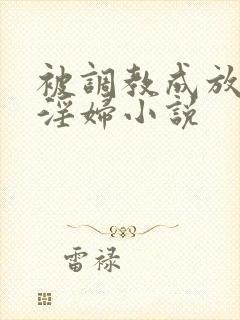 被调教成放荡小淫妇小说封面