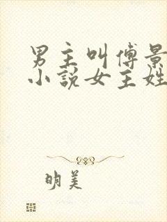 男主叫傅景琛的小说女主姓夏