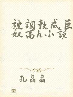 被调教成巨乳奶奴高h小说