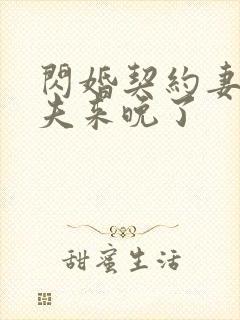 闪婚契约妻:为夫来晚了