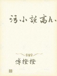 污小说高h小说封面