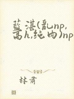 蓝湛(乱np,高h,纯肉)np封面