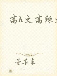 高h文高辣文