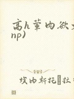 高h荤肉欲文(np)