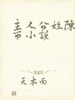 主人公姓陈的都市小说封面