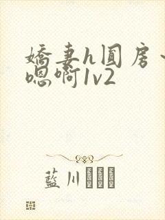 娇妻h圆房～h嗯啊1v2封面