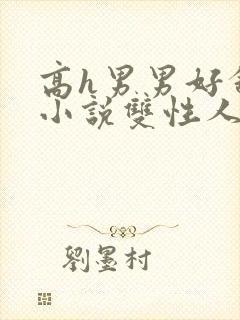 高h男男好舒服小说双性人