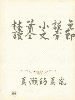 林萧小说免费阅读全文章节