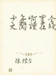 少年啊宾全文全文阅读在线阅读全文封面