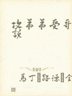 攻弟弟受哥哥小说封面