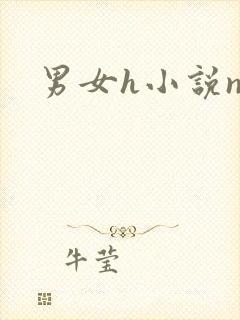 男女h小说np