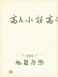 高h小说高潮封面