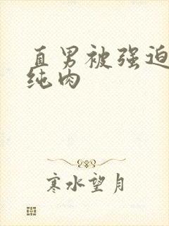 直男被强迫高h纯肉