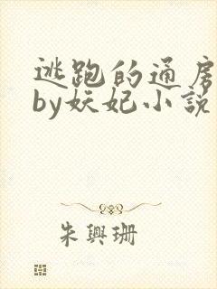 逃跑的通房丫鬟by妖妃小说