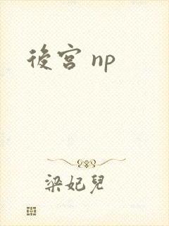 后宫 np