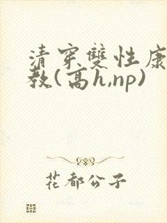 清穿双性康熙调教(高h,np)封面