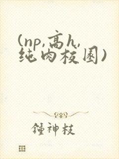 (np,高h,纯肉校园)