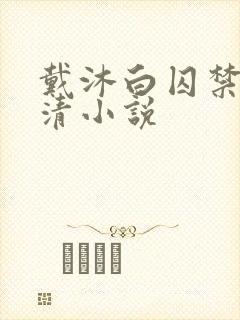 戴沐白囚禁朱竹清小说