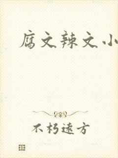 腐文辣文小说