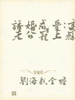 诱婚成爱:高冷老公宠上瘾