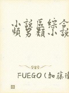 小说区综合区视频另类小说