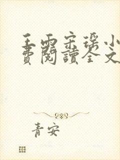 王雨宋瑶小说免费阅读全文最新章节