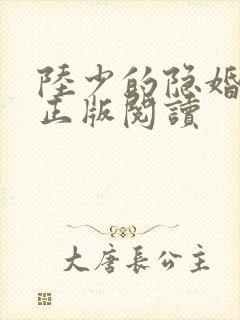 陆少的隐婚罪妻正版阅读封面