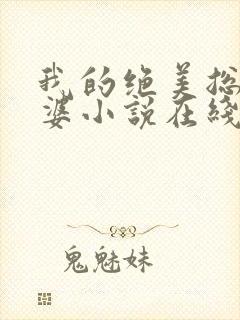 我的绝美总裁老婆小说在线阅读