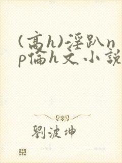 (高h)淫趴np伦h文小说