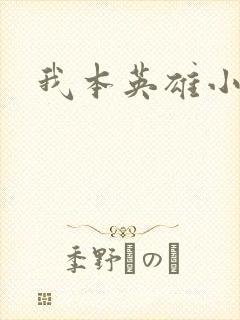 我本英雄小说